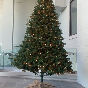 Meet your Posher, Yaser